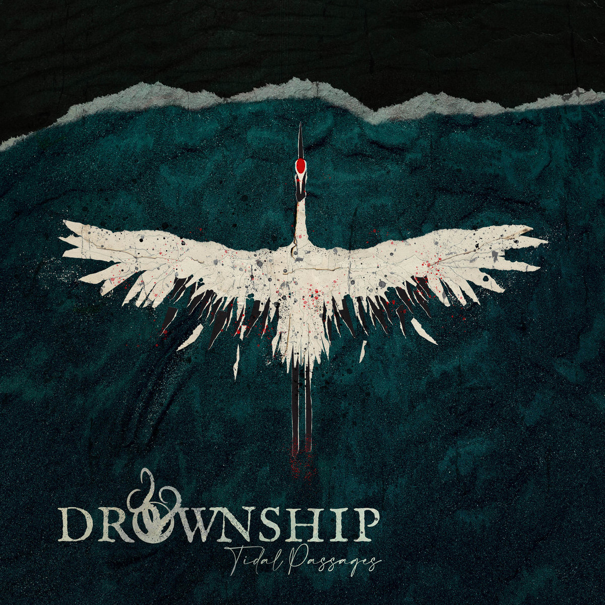 Check out Drownship if you’re into heavy music