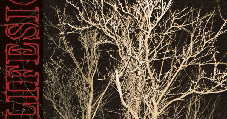 Lifesick release new video