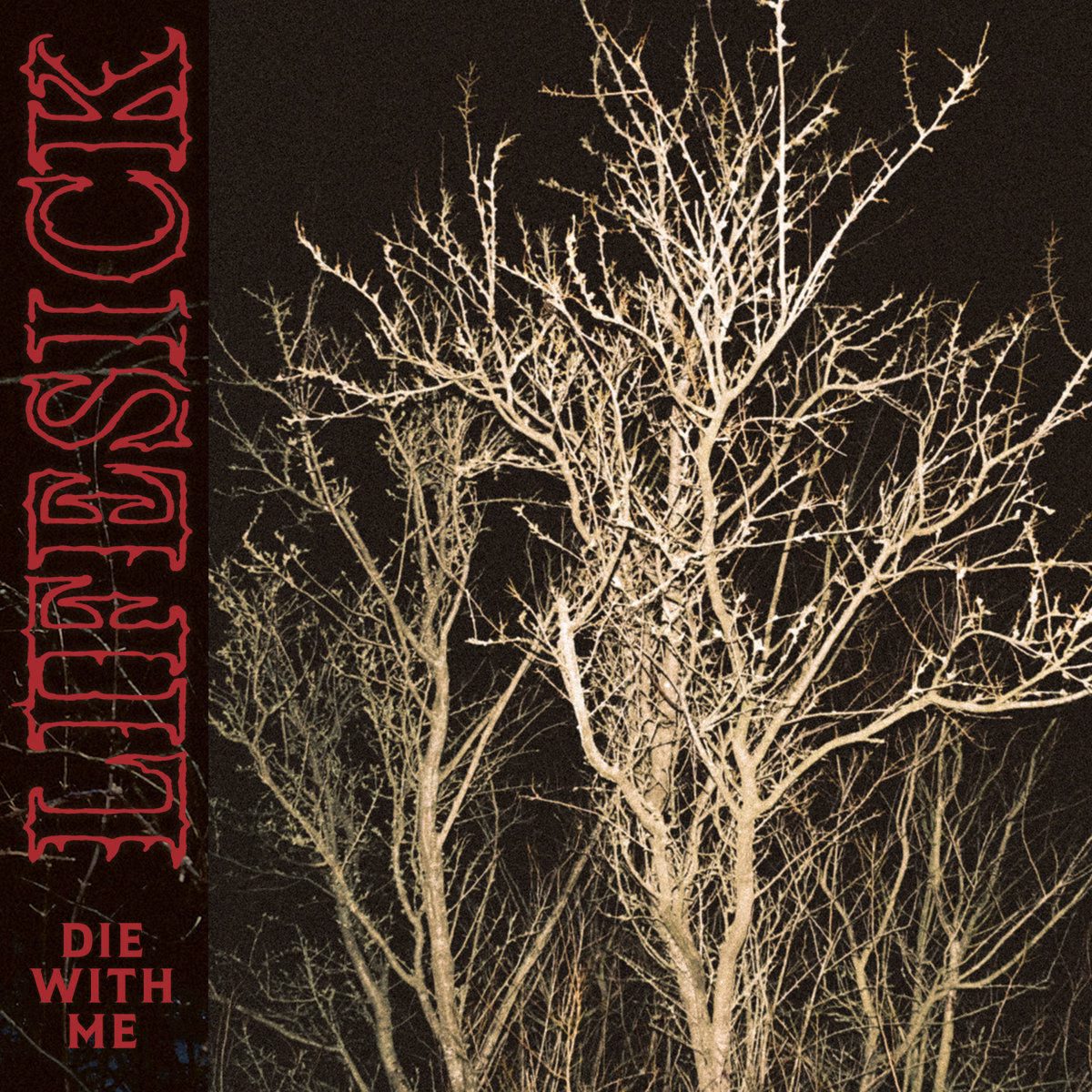 Lifesick release new video