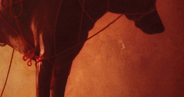 Review: Still In Love – Recovery Language