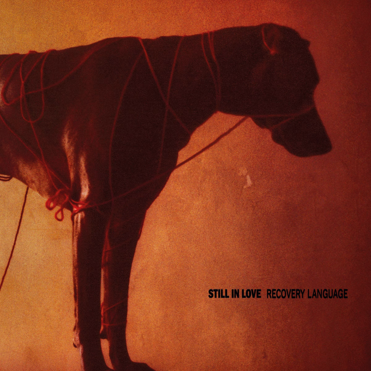 Review: Still In Love – Recovery Language